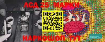 спиды Кимры