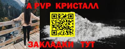 ГАЛЛЮЦИНОГЕННЫЕ ГРИБЫ Кингисепп